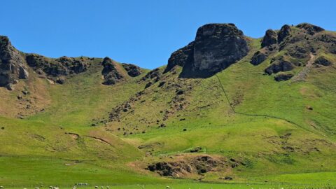 View of Te Mata Peak