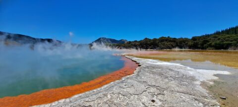 Champagne Pool