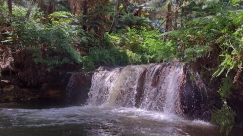 Kerosene Creek in Rotorua