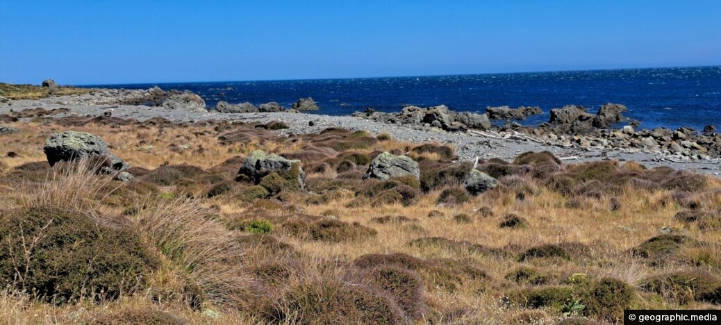 South Coast & Coastal Vegetation