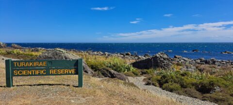 Turakirae Head Scientific Reserve Sign