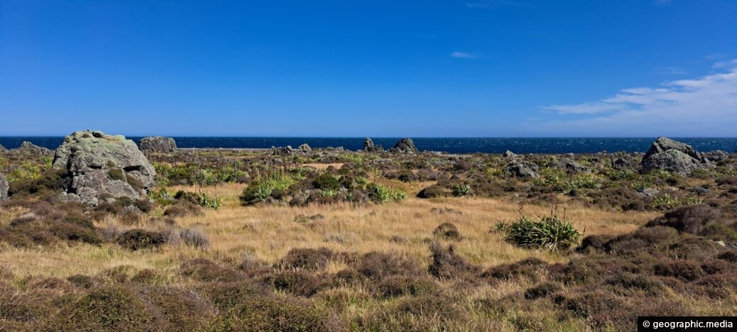 Turakirae Head Scientific Reserve