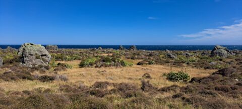 Turakirae Head Scientific Reserve