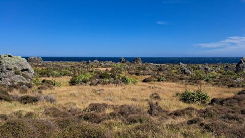 Turakirae Head Scientific Reserve