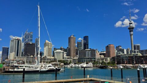 Auckland Harbour and Skyline