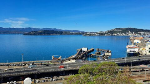Wellington Harbor and Docks