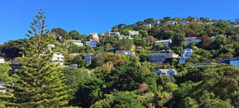 Wadestown Wellington Houses