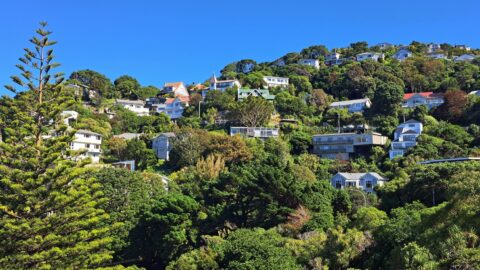Wadestown Wellington Houses