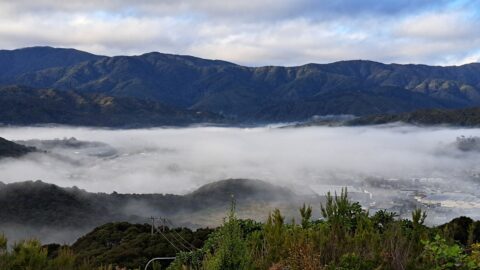 Wainuiomata Mist