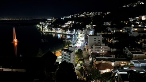 Oriental Bay Lookout at Night