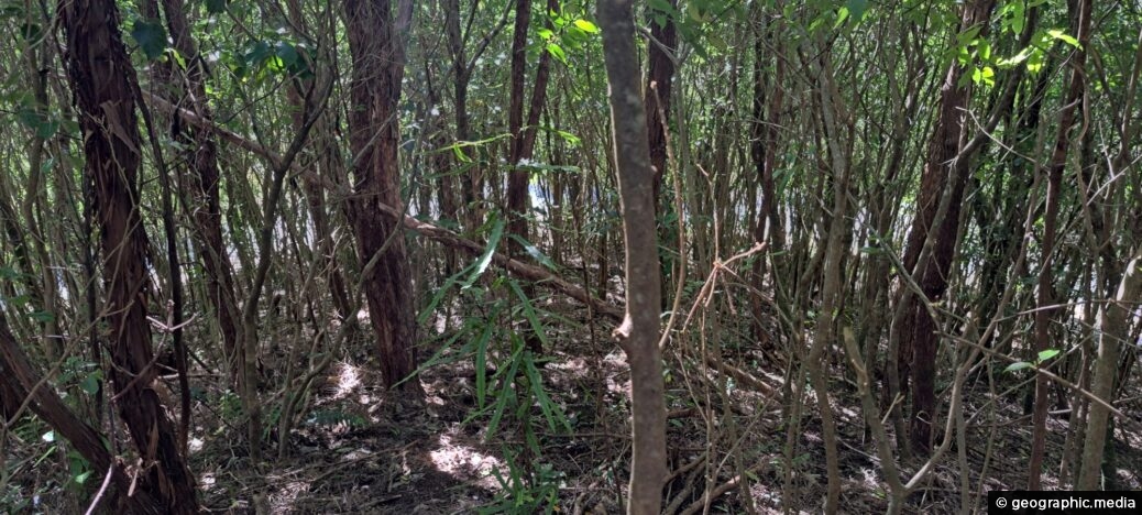 Solomon's Knob in Wainuiomata