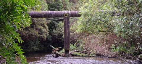 O-K Main in Wainuiomata