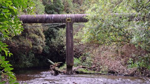 O-K Main in Wainuiomata