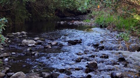 Wainuiomata River in Reservoir Valley