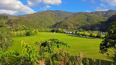 Richard Prouse Park from The Rock