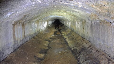 Wainuiomata Water Race