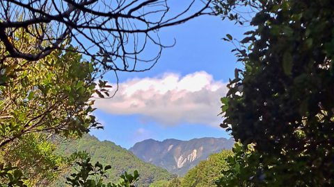 Clay Ridge from the Five Mile Loop Track