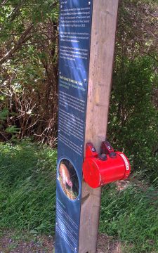 Information sign on the Orongorongo Track