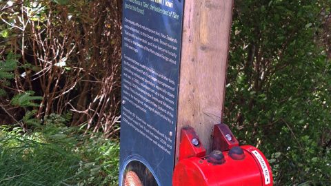 Information sign on the Orongorongo Track