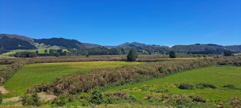 Whitemans Valley from Wallaceville Road