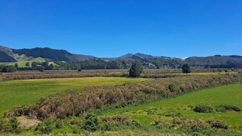 Whitemans Valley from Wallaceville Road
