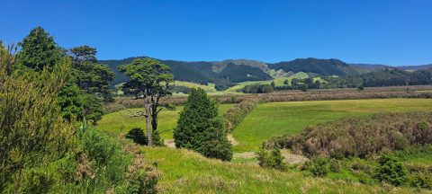 View of Whitemans Valley