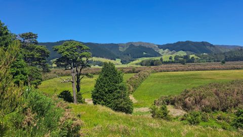 View of Whitemans Valley