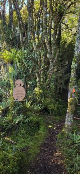 Whakanui Track & Kiwi Sign