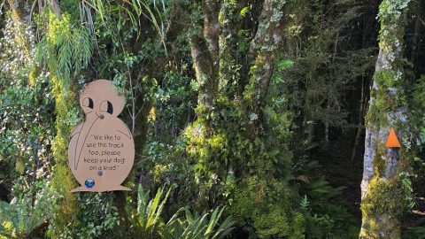 Whakanui Track & Kiwi Sign