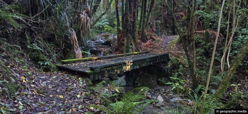 Whakanui Track Bridge