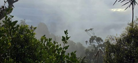 Cloud Covered Slopes