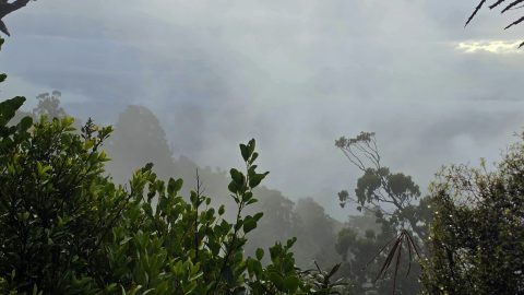 Cloud Covered Slopes