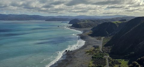 Fitzroy Bay and South Coast
