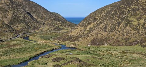Lower Wainuiomata River