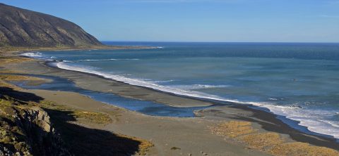 Wainuiomata Coastline