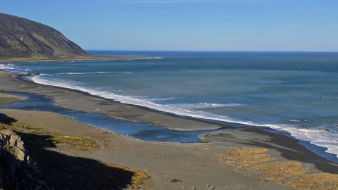 Wainuiomata Coastline