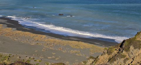 Wainuiomata Sand and Sea