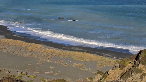 Wainuiomata Sand and Sea