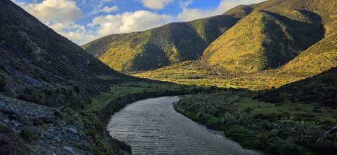 Wainuiomata River from Great Loop Walk