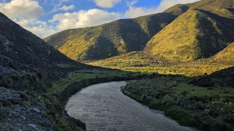 Wainuiomata River from Great Loop Walk