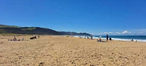 Ocean Beach Looking North