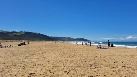 Ocean Beach Looking North
