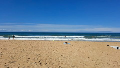 Ocean Beach