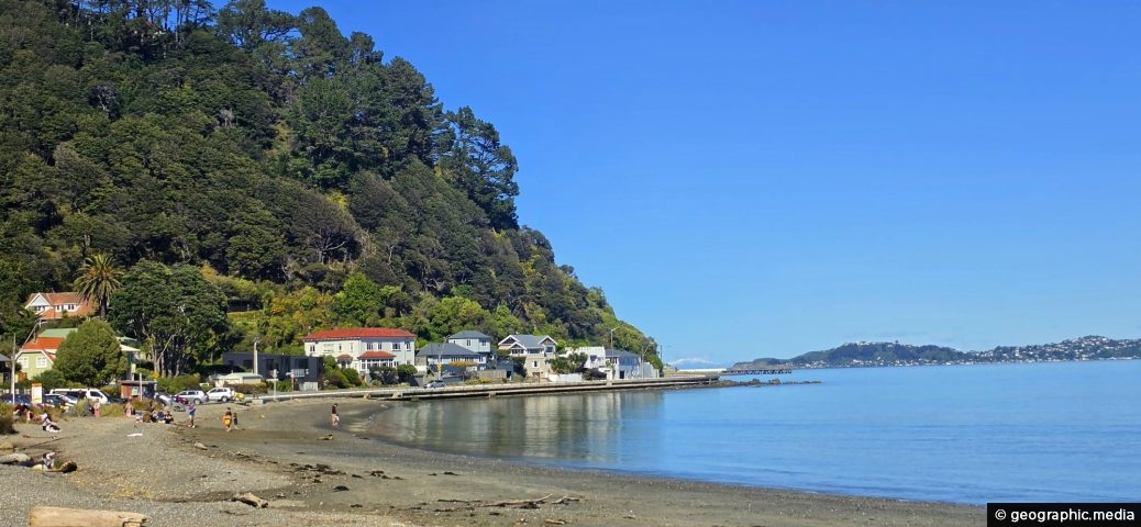 Days Bay Looking South