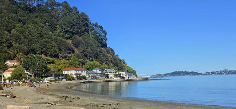 Days Bay Looking South