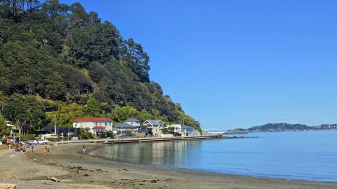 Days Bay Looking South