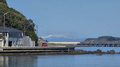 Days Bay & Mountains
