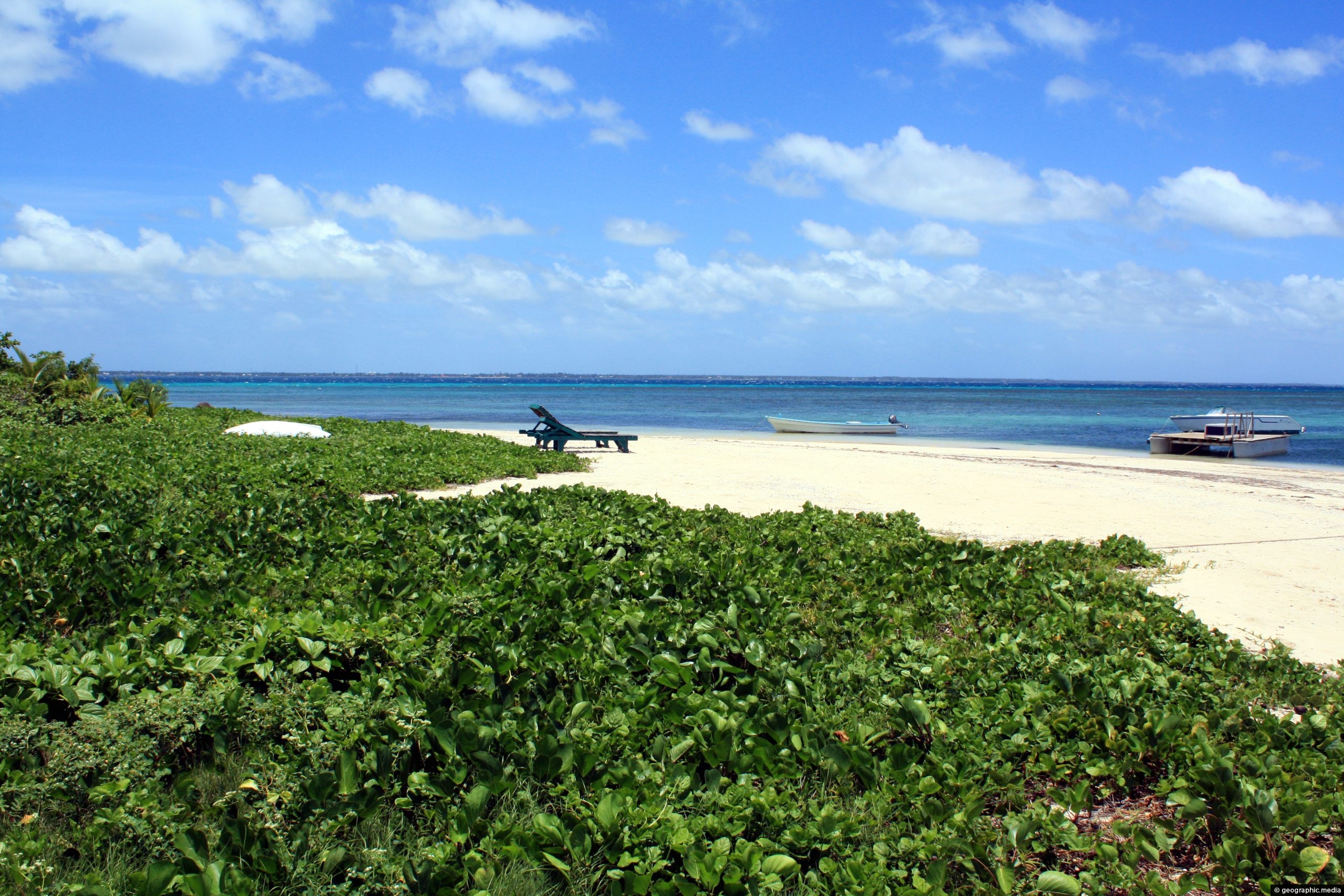 Low lying vegetation and white sand