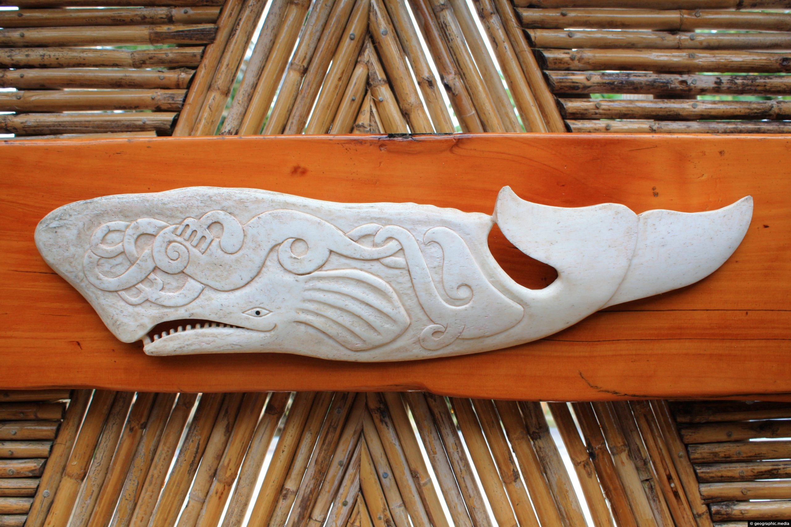 Tongan Bone Carving