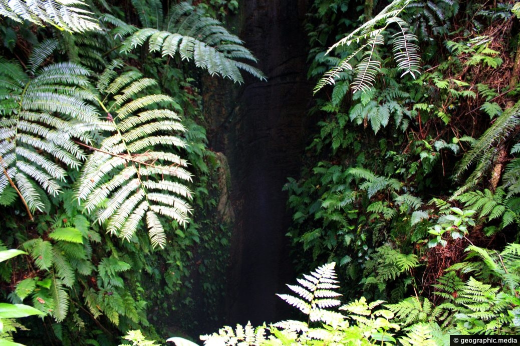 Sink Hole on Eua Island in Tonga